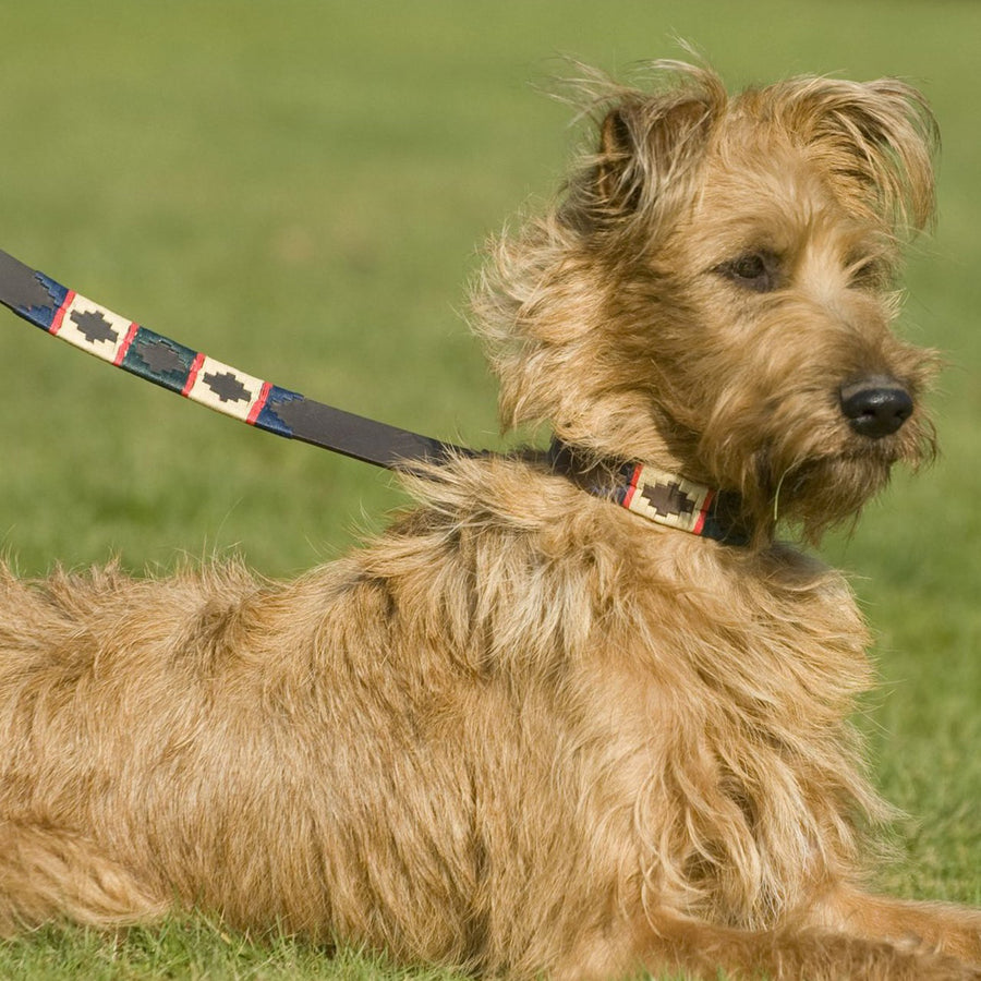 Polo Dog Lead - Red stripe