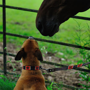 Polo Dog Lead - Red/navy/cream stripe