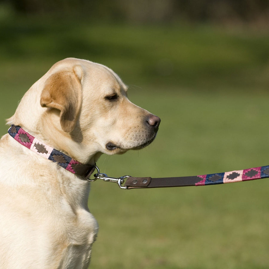 Polo Dog Lead - Berry/navy/pink
