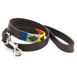 Polo Dog Lead - Rainbow