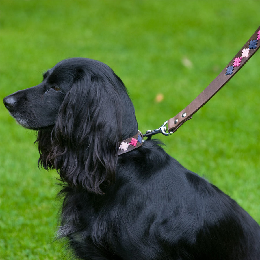 Polo Dog Lead - Pampa cross - Berry/navy/pink