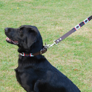 Polo Dog Lead - Navy/pale blue/red stripe