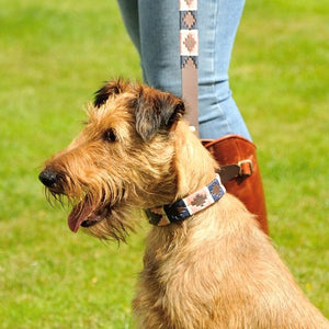 Polo Dog Collar - Pink/navy/white stripe