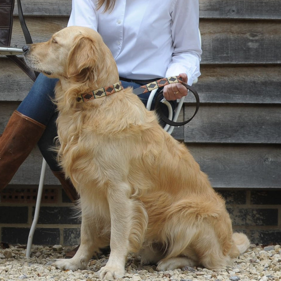 Polo Dog Lead - Copper/beige/green stripe