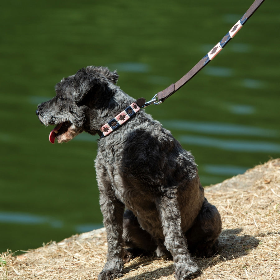 Polo Dog Lead - Pink/navy/white stripe