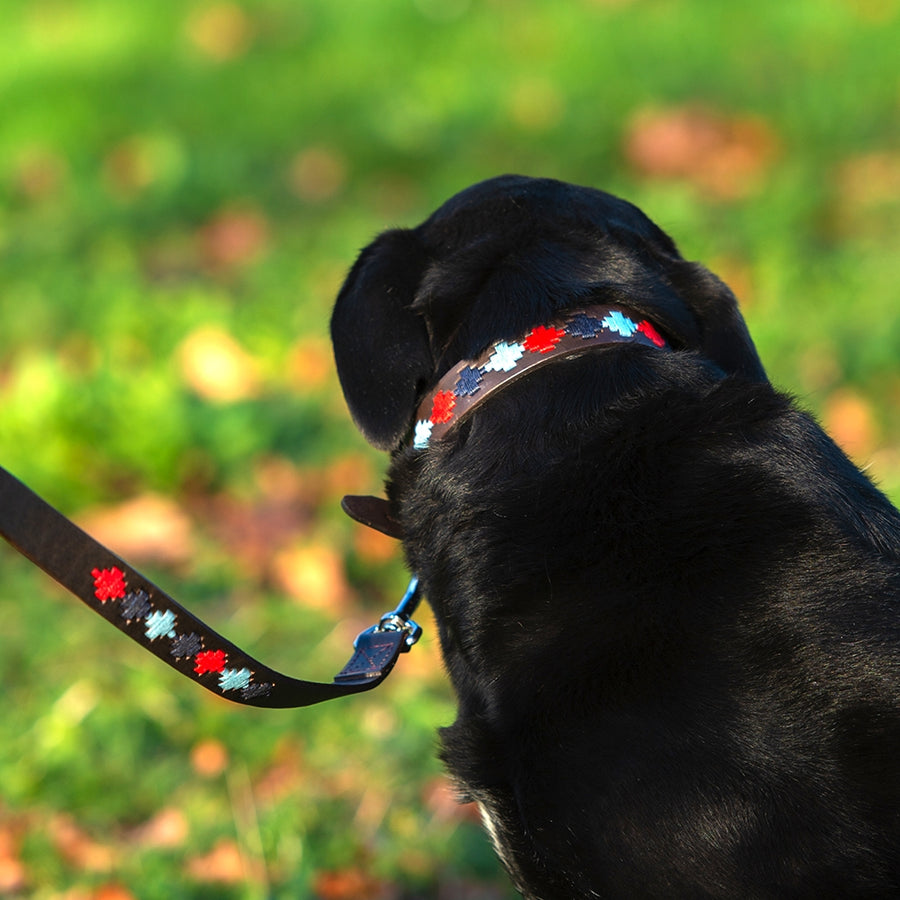 Polo Dog Lead - Pampa cross - Navy/pale blue/red