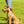 Load image into Gallery viewer, Polo Dog Lead - Pink/navy/white stripe
