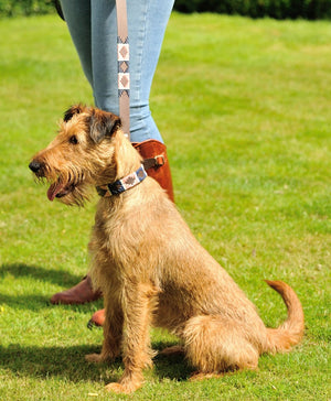 Polo Dog Lead - Pink/navy/white stripe